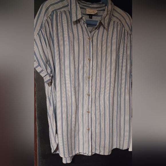 UNIVERSAL THREAD: Button-down Blue and White Striped Shirt - Picture 3 of 11